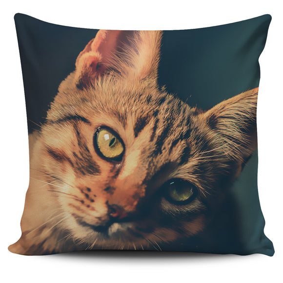Pillow Cover  Ginger Cat Painted