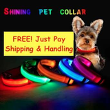 FREE! Shining Pet LED Dog Collar (Just Pay Shipping) - Value Basin