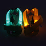 FREE! LED Safety Harness (Just Pay Shipping) - Value Basin