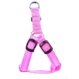 FREE! LED Safety Harness (Just Pay Shipping) - Value Basin