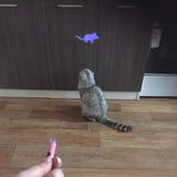 FREE! Cat Toy LED Pointer With Bright Animation Mouse (Just Pay Shipping) - Value Basin