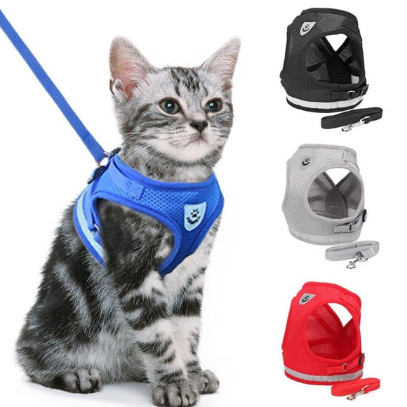 Adjustable Walking Vest For Cats - Value Basin
