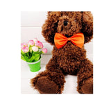 Pet Bow Tie Dog And Cat - Value Basin