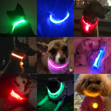 LED Dog Collar - Value Basin