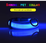 FREE! Shining Pet LED Dog Collar (Just Pay Shipping) - Value Basin